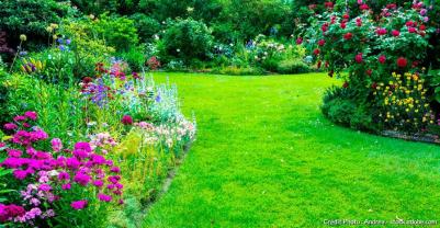Service entretien jardin entre particuliers