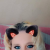 Profil du voisin