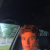 Profil du voisin