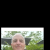 Profil du voisin