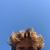 Profil du voisin