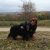 Profil du voisin