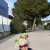 Profil du voisin