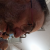 Profil du voisin