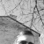 Profil du voisin
