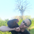 Profil du voisin