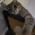 Profil du voisin