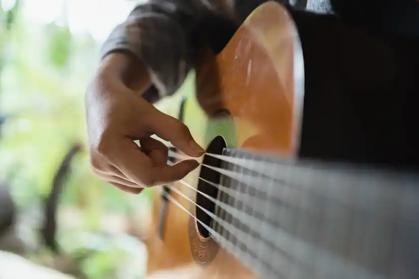 Location guitare 54 entre particuliers
