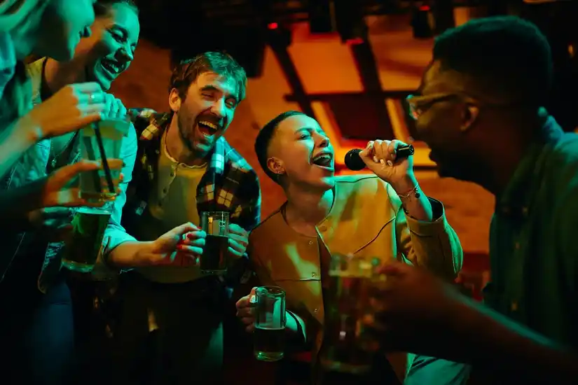 Location karaoke 17 entre particuliers
