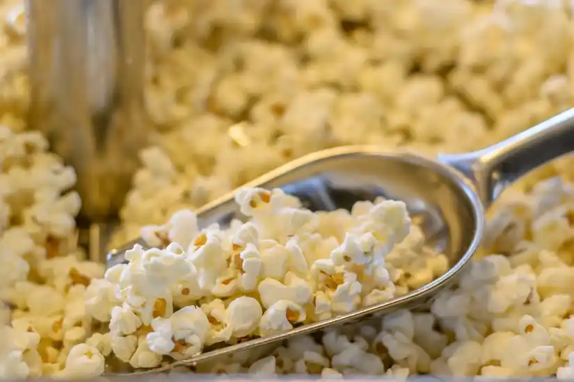 Location machine a pop corn 93 entre particuliers