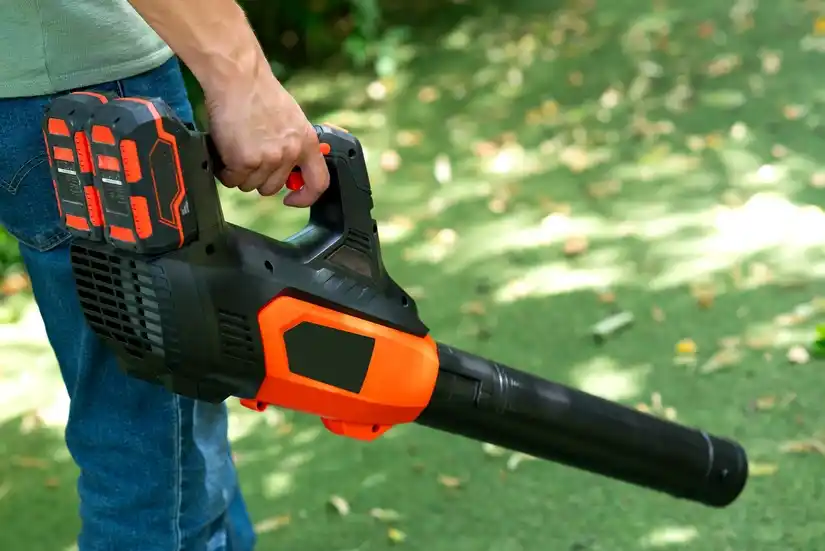 Location aspirateur souffleur 38 entre particuliers