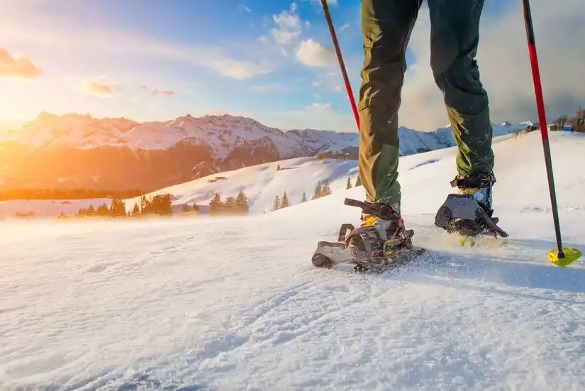 Location raquettes neige 55 entre particuliers