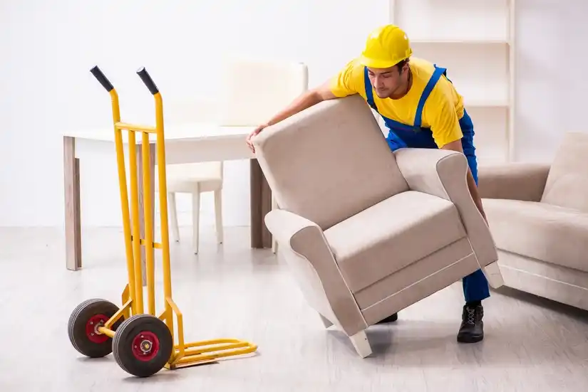 Service avec chariot 69 entre particuliers