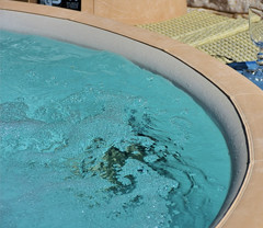 Location jacuzzi entre particuliers