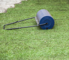 Guide Pelouse Un Tapis Vert Toute L Annee Grace A Equip Jardin