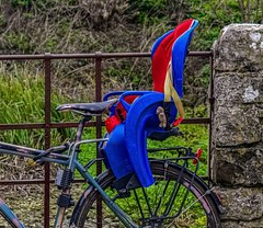 Siège enfant vélo