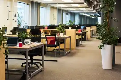 Louer ces bureaux