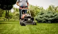 Service tonte pelouse
