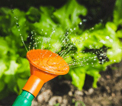 cherche jardinage chez particulier cherche jardinage chez particulier