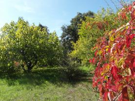 Louer le jardin