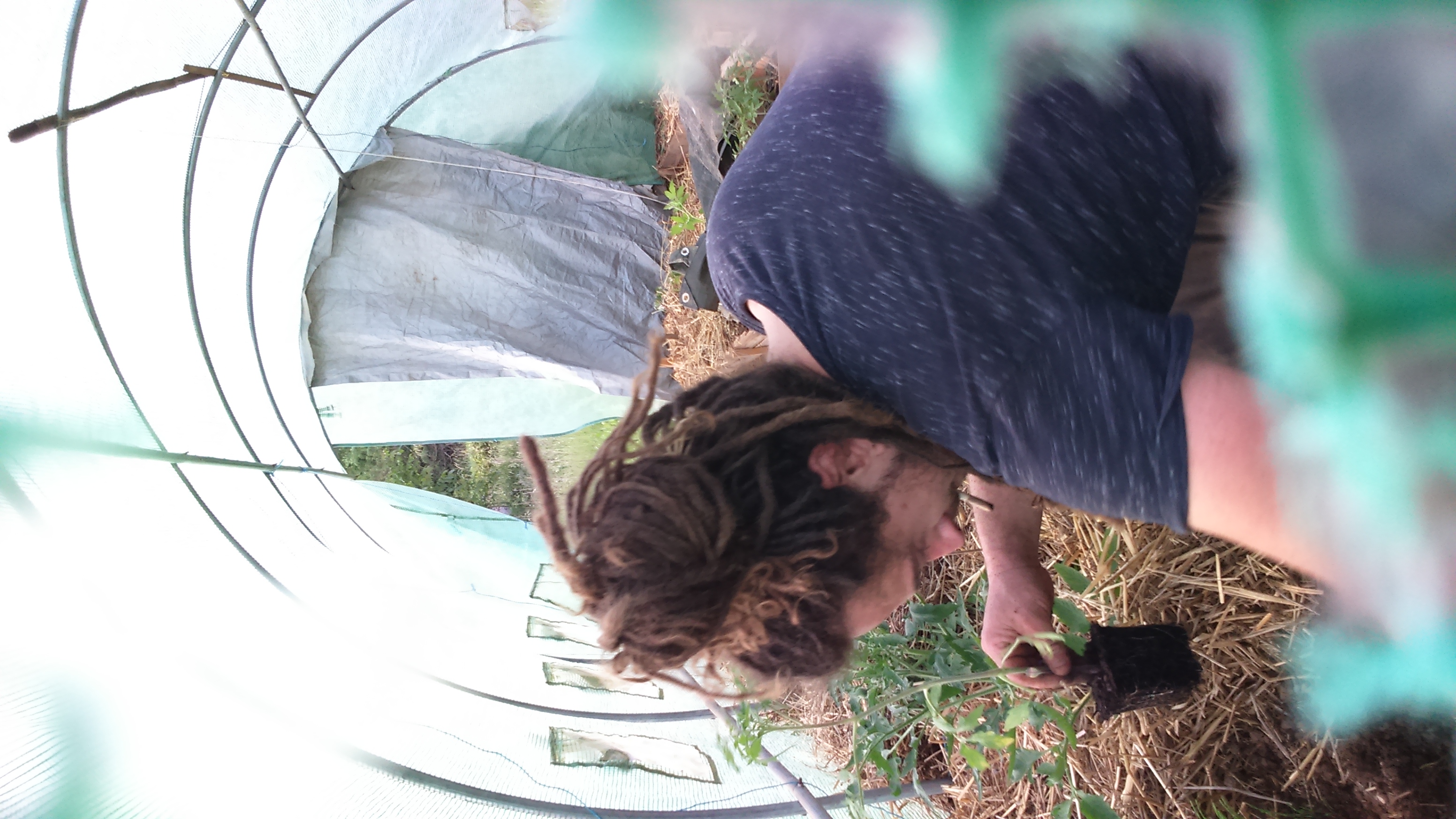 Service dreadlocks 46 entre particuliers