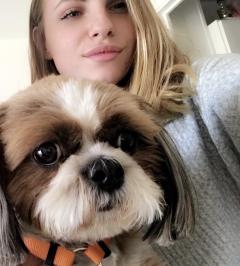 Service : garde animaux Service : garde animaux