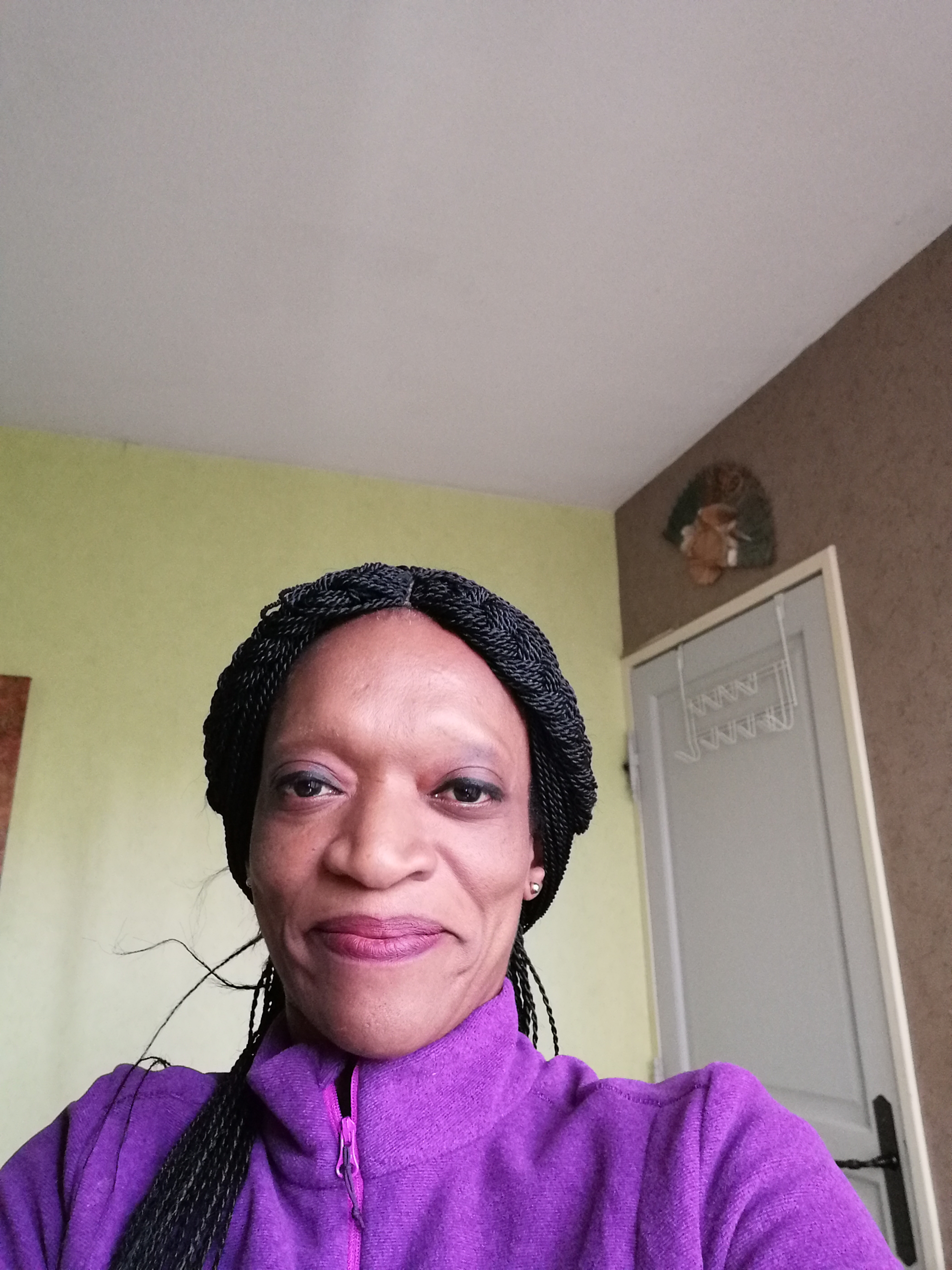 Service repassage 87 entre particuliers
