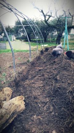 Demander ce jardinier