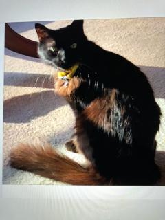 Service : chat Service : chat