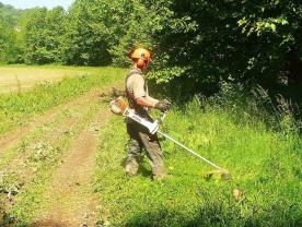 Service entretien jardin entre particuliers