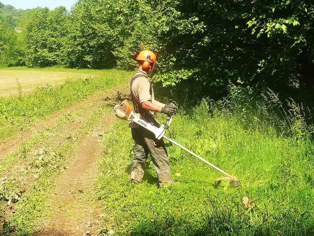 Service entretien jardin 13 entre particuliers