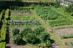 Louer le jardin