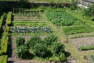 Location jardin potager entre particuliers