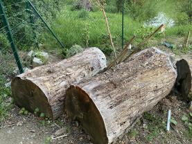 Location : tronconneuse Location : tronconneuse