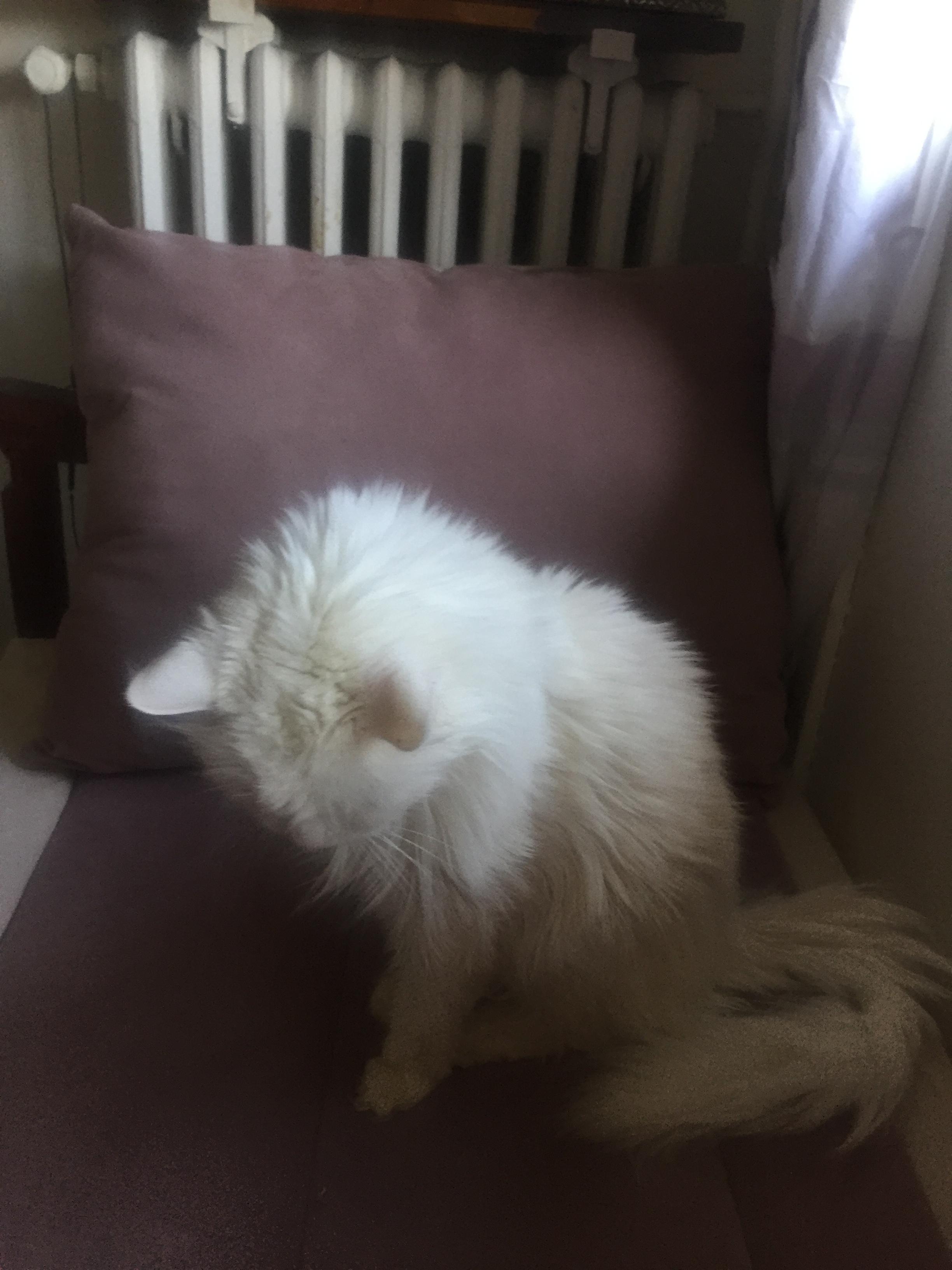 Service chat 92 entre particuliers