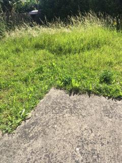 Location : debroussailleuse Location : debroussailleuse