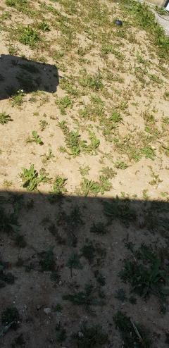 Location : motoculteur Location : motoculteur