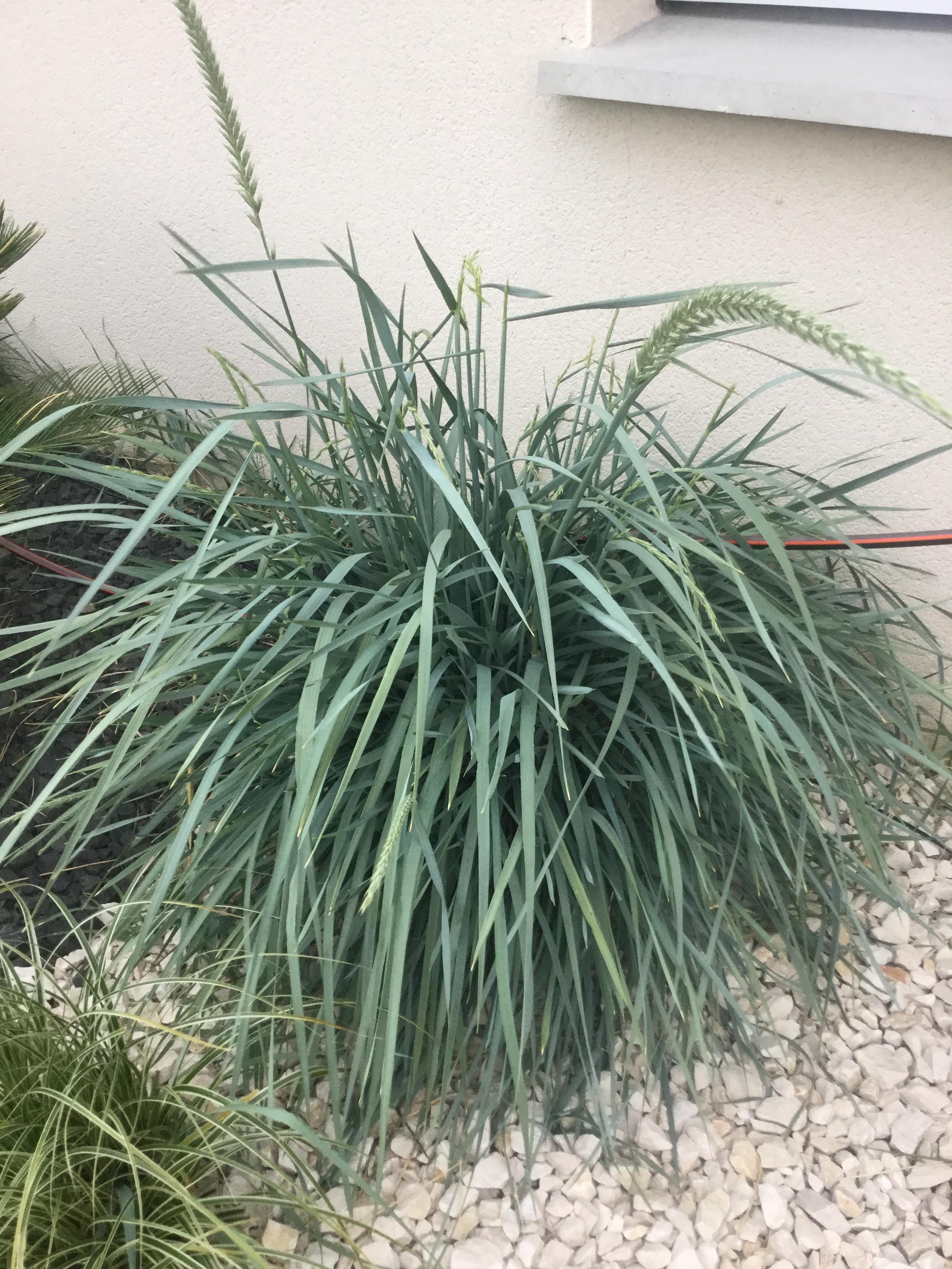Service amenagement jardin 69 entre particuliers