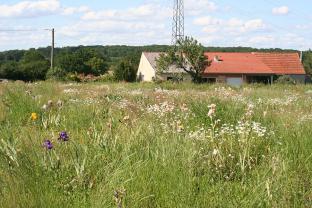 Location debroussailleuse entre particuliers