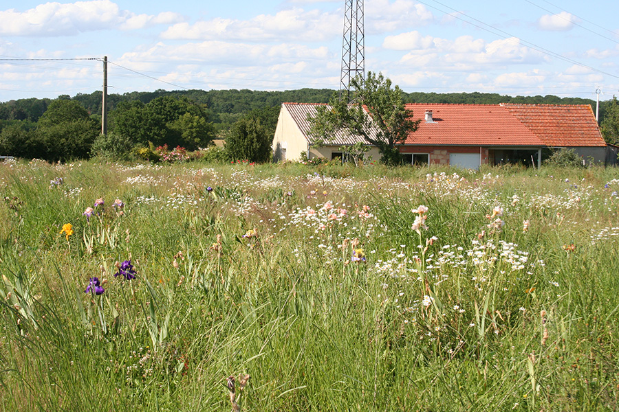 Location debroussailleuse 03 entre particuliers