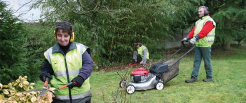 Service : entretien espace vert Service : entretien espace vert