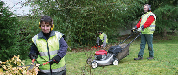 Service entretien espace vert 95 entre particuliers