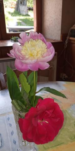 Service : aide aux courses Service : aide aux courses