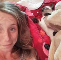 Location : chambre meublee Location : chambre meublee