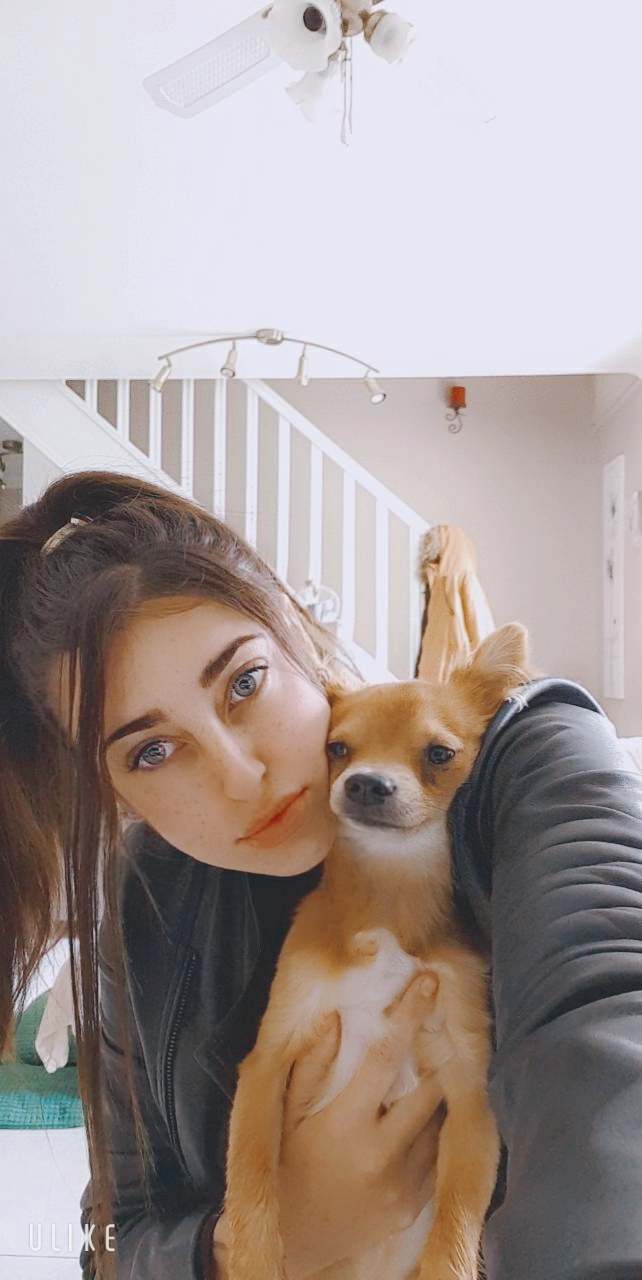 Service aide aux courses 14 entre particuliers