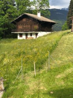 Service : debroussaillage Service : debroussaillage