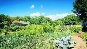 Location jardin potager entre particuliers