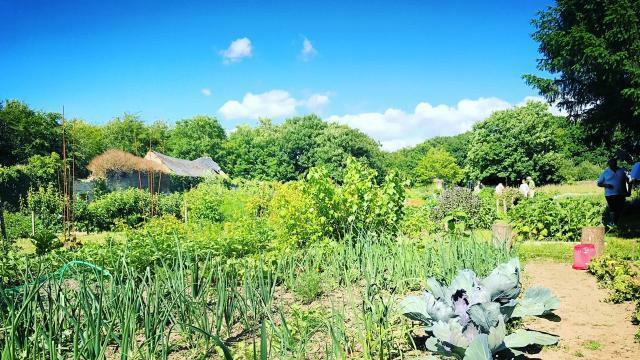 Location jardin potager 78 entre particuliers