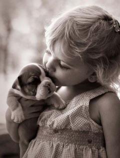 Service : chien Service : chien