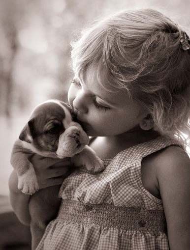 Service chien 85 entre particuliers